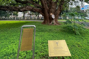 Buon Ma Thuot Cultural and Coffee Heritage Tour