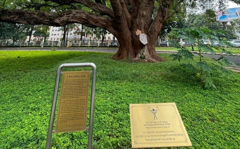 Buon Ma Thuot Cultural and Coffee Heritage Tour