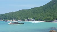 PATTAYA-C: Coral Island Speed boat + Parasaling & Activities your Choice with Lunch 5