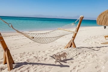 Hula Hula Island Snorkeling & Sailing Trip with Lunch – Hurghada