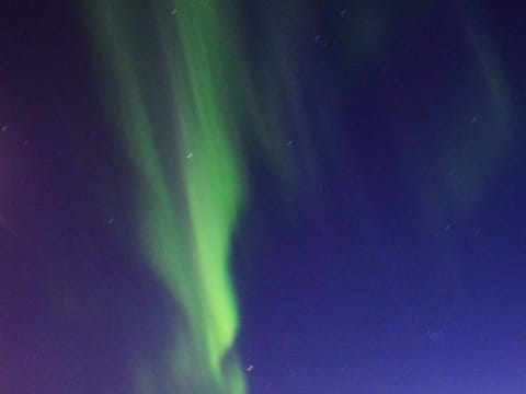 Northern Lights by Boat with a Backup Plan, photo 4