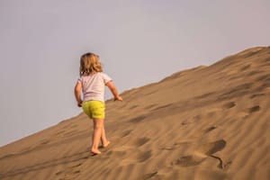 Full Day Desert Safari with Dinner or Lunch