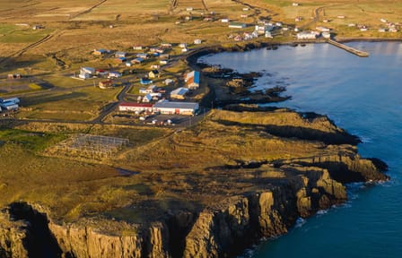 Puffin Watching and Scenic Drive from Seyðisfjörður Port