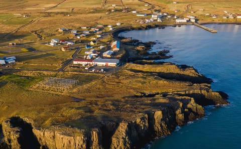 Puffin Watching and Scenic Drive from Seyðisfjörður Port