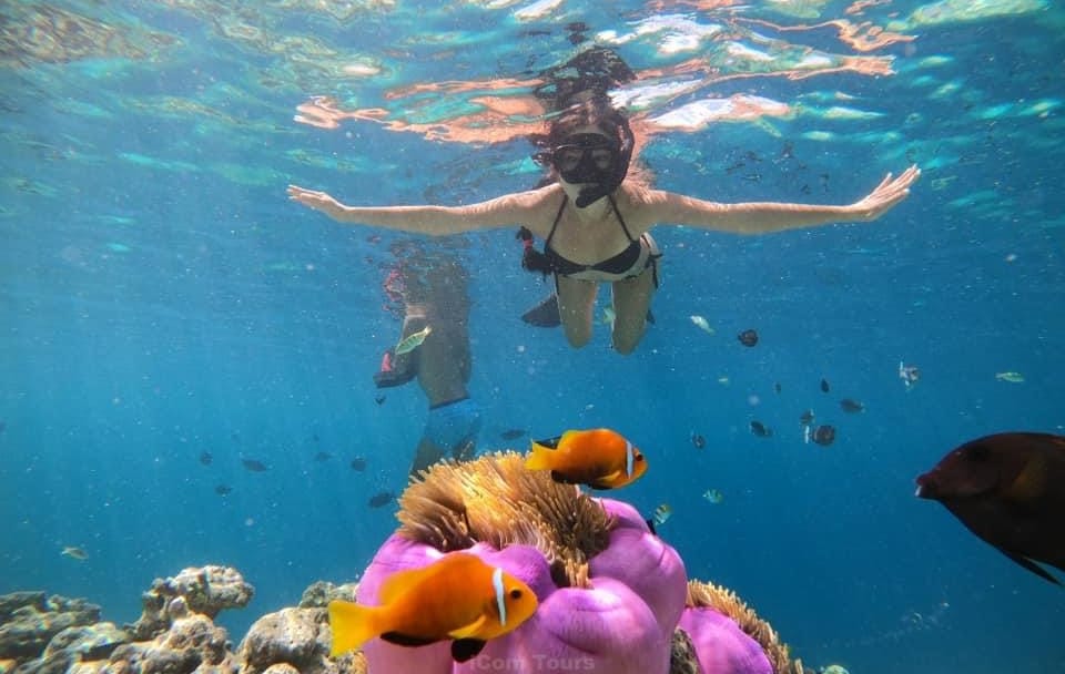 Maafushi full day tour