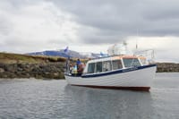 Puffin Express 2