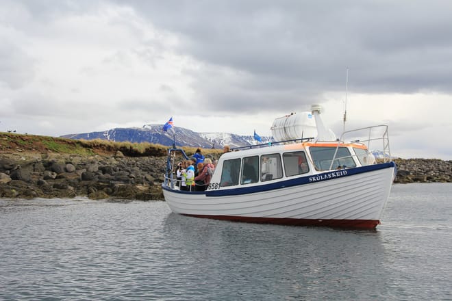 Puffin Express photo 2
