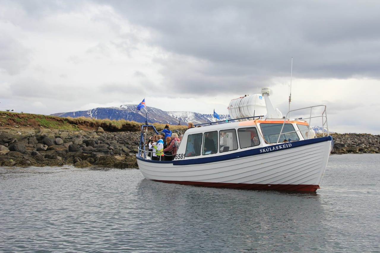 Puffin Express 2