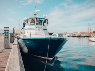 Húsavík: Small-Family Run, Responsible Whale Watching, photo 6