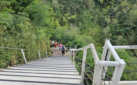 Cultural and Nature Adventure Tour in Yogyakarta