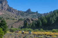 Enjoy a Horseback Riding Tour in Bariloche