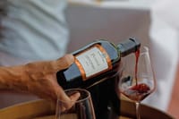 Winery Tour and Tasting of Garda Wines 9