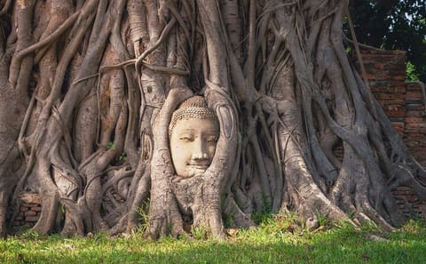 Private Cultural Tour of Ayutthaya's Historic Temples