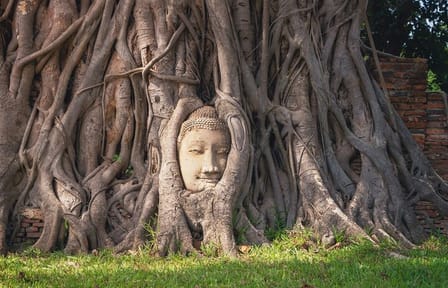 Private Cultural Tour of Ayutthaya's Historic Temples