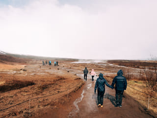 Golden Circle Private Tour & Fridheimar Farm Visit from Reykjavik, photo 25