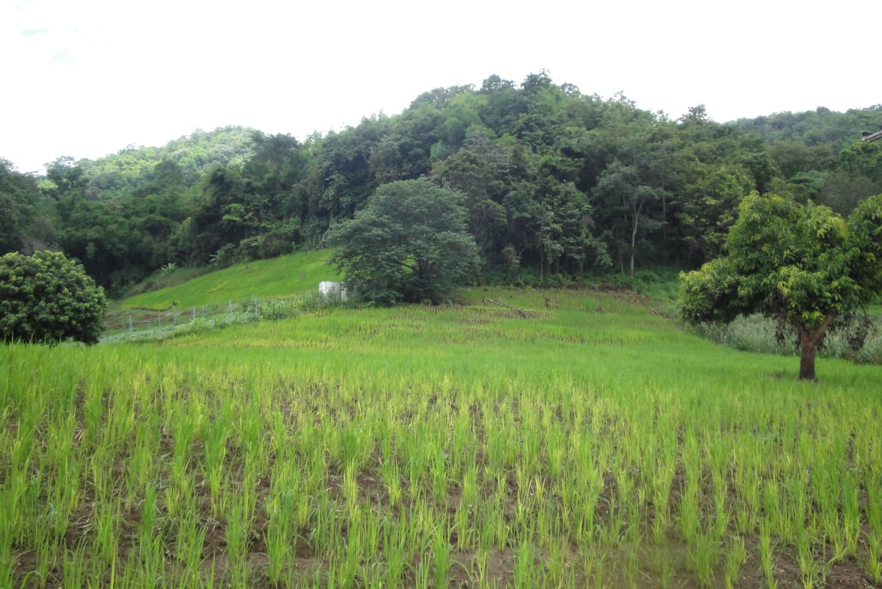 "BIKE 11" 1-Day road ride 90 km Samoeng Mountain Loop, Chiang mai 7