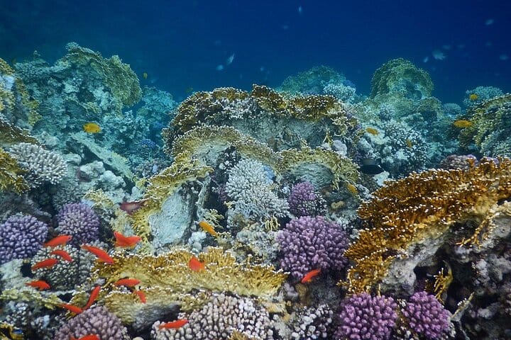 Sharm El Naga National Park Semi-Private Snorkeling Trip-Hurghada