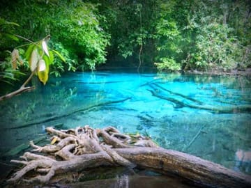 KRABI JUNGLE TOUR – Small Group Tour 9 Guests