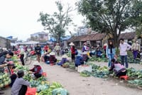 Hoa Lu - Mua Cave - Local Market -Tam Coc - Bich Dong 2days small group tour 4