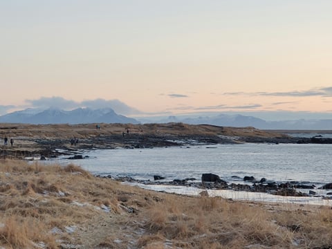 Ytri Tunga- where if we are lucky we will see some seals sleeping or playing.