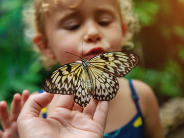 Zanzibar: Step into a Zanzibar’s Butterfly Haven