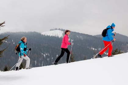 Full-Day Snowshoeing in High Tatras with Local Mountain Guide from Poprad