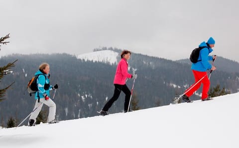 Full-Day Snowshoeing Tour in High Tatras from Poprad