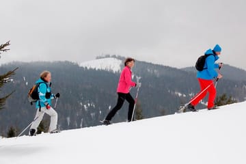 Full-Day Snowshoeing Tour in High Tatras from Poprad