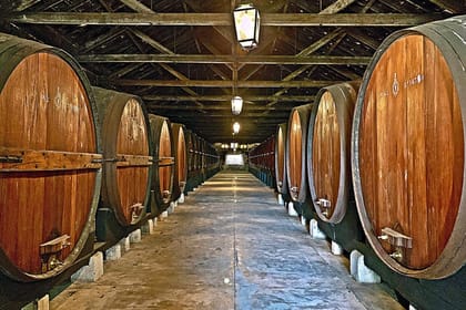 Lisbon Wine Tour: Explore Azeitão, Palmela, and Sesimbra