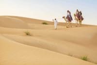 Camel Riding