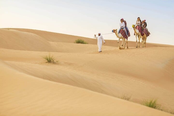 Camel Riding