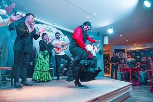 BEST OF Granada: Flamenco, Tapas and Wine Tour - by OhMyGoodGuide!
