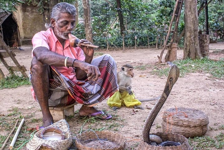 Colombo City Tour Highlights