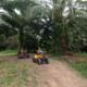 Phuket Eco Exploration Raft Ride & Discover Tour from Khao Lak