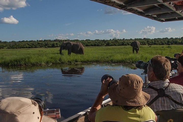 Chobe Full Day Trip (From Victoria Falls)