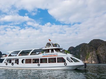 Alova Premium Cruise Halong 1 Day Tour from Hanoi by Expressway