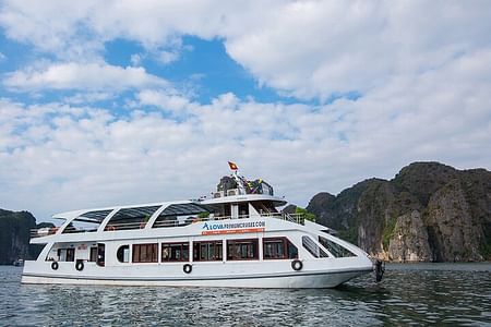 Alova Premium Cruise: Halong Bay Day Tour from Hanoi with Luxury Experience