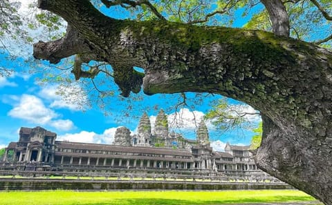Cultural and Relaxation Tour of Cambodia in 12 Days
