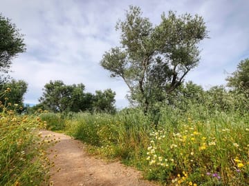 Private Half-Day Hiking Tour of Sarakina Gorge in Chania