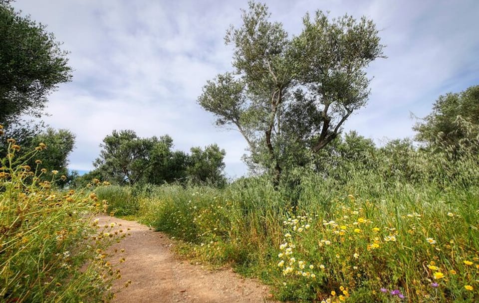 Private Half-Day Hiking Tour of Sarakina Gorge in Chania