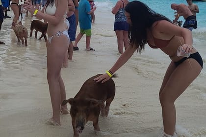 Rose Island 3 Island Luxury Private Tour(8hrs)