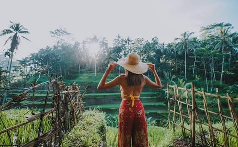Ubud Private Tour: Waterfalls, Rice Terraces, and Monkey Forest