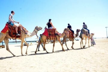 Horseback Riding Tour in Hurghada: Sea and Desert Adventure