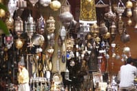 Half-Day Marrakech Sightseeing Tour 5