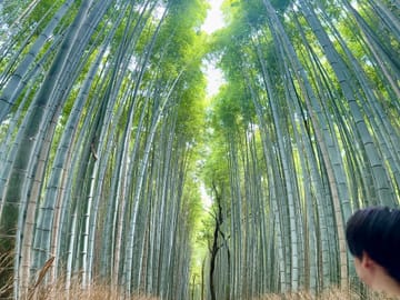 Kyoto Private Tour: Explore Top Temples, Shrines & Culture
