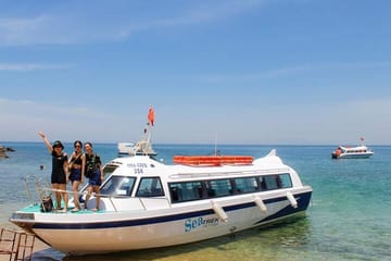 Snorkeling Adventure at Cham Islands from Da Nang