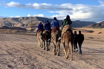 Marrakech Adventure: Paragliding, Camel Ride & Breakfast