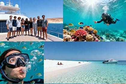 Snorkeling and Diving to Ras Mohamed And White Island by VIP Boat