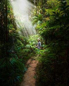 Wildlife Sanctuary Trekking with Lunch