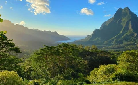 Moorea ATV Safari Tour with Pineapple Farm Visit